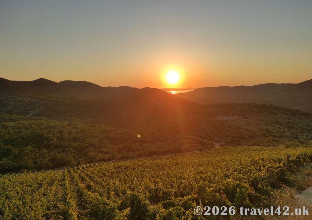 View from Matosin Winery