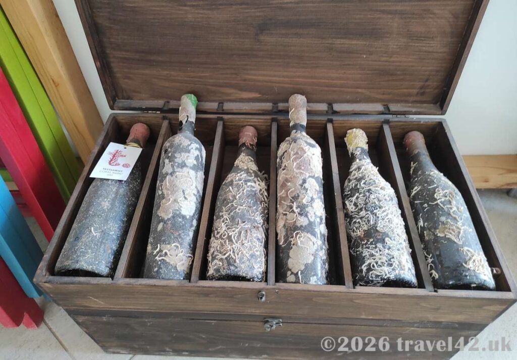 Wine botles in Testament winery