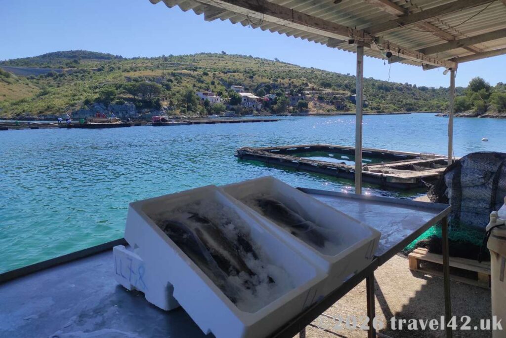 Fish stand near Zecevo