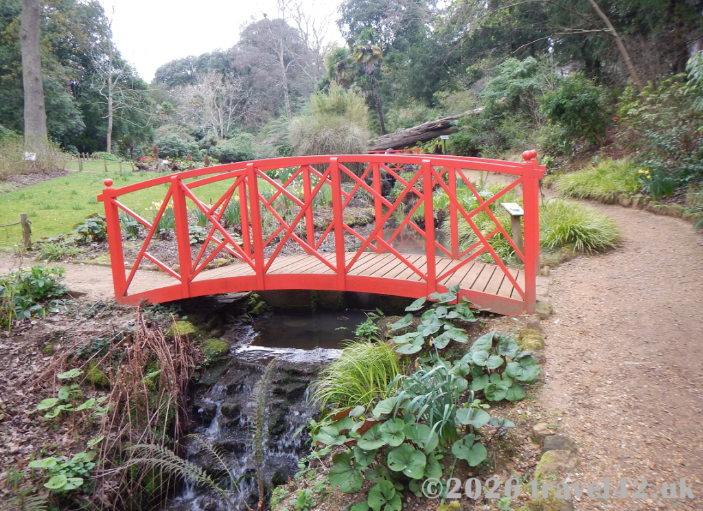 Abbotsbury tropical gardens