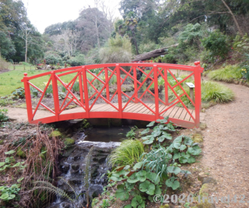 Best Family Days Out in Dorset