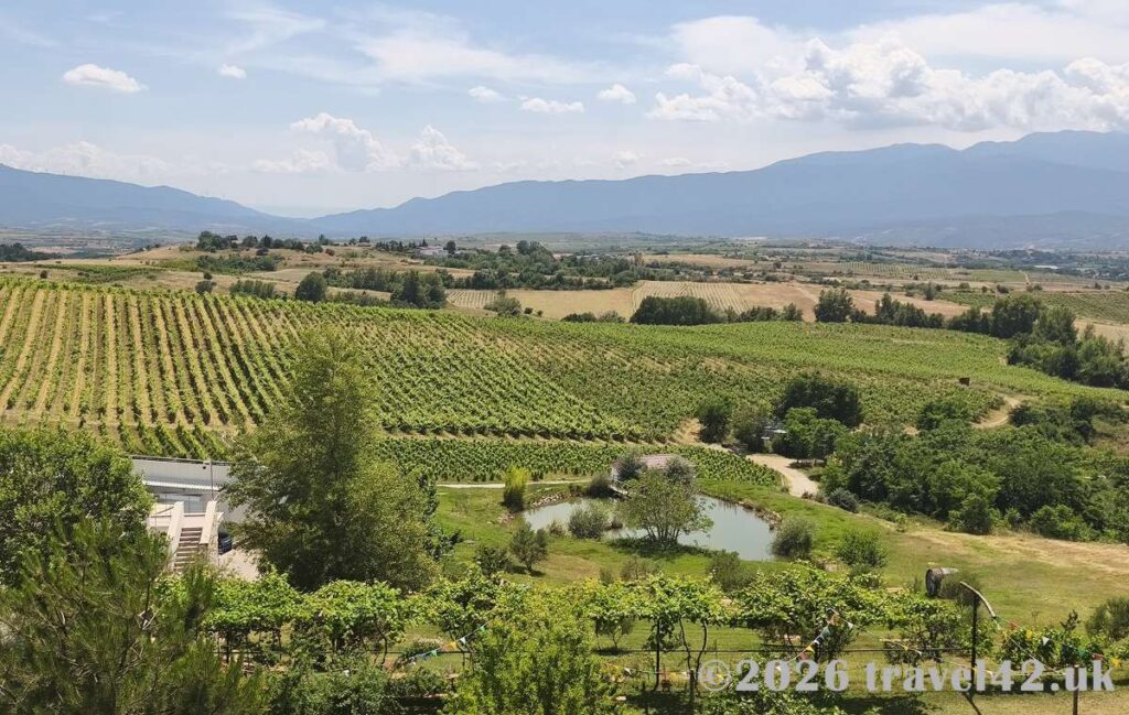 Vineyards near Villa Melnik winery