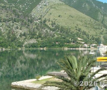 The Adriatic Coast of Montenegro: Kotor, Sveti Stefan and the Bird-Filled Waters of Skadar Lake