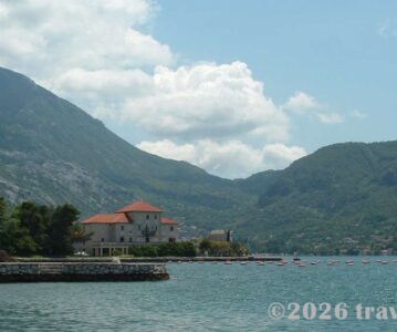 Seafood Specialities in Montenegro: Mussels, Wine and a Kitchen Full of Sea Air