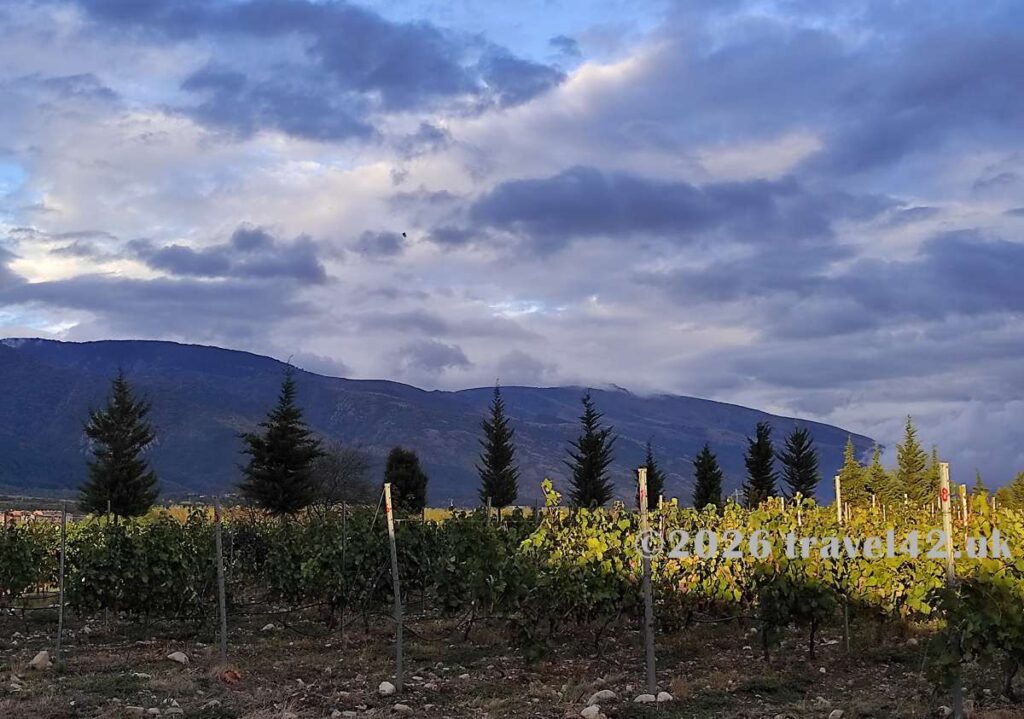 Scenery from Chateau Copsa Winery
