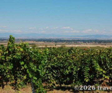 Wineries in Central Bulgaria: Chateau Copsa & Zagreus Winery Guide