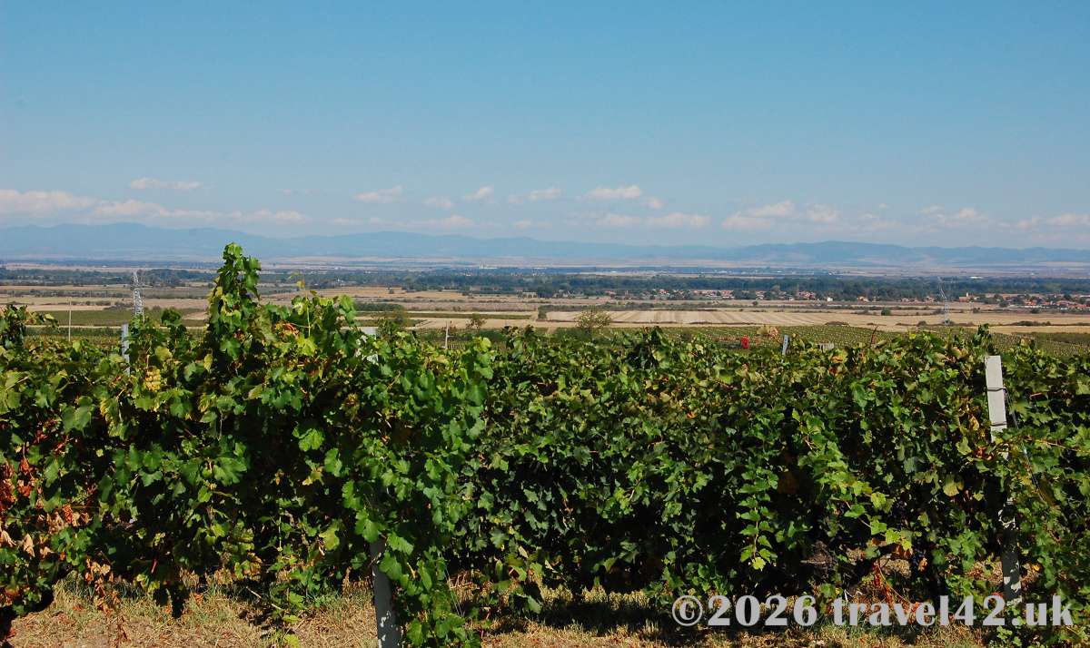 Wineries in Central Bulgaria: Chateau Copsa & Zagreus Winery Guide