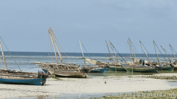 Boats in Kizimkazi Mkunguni