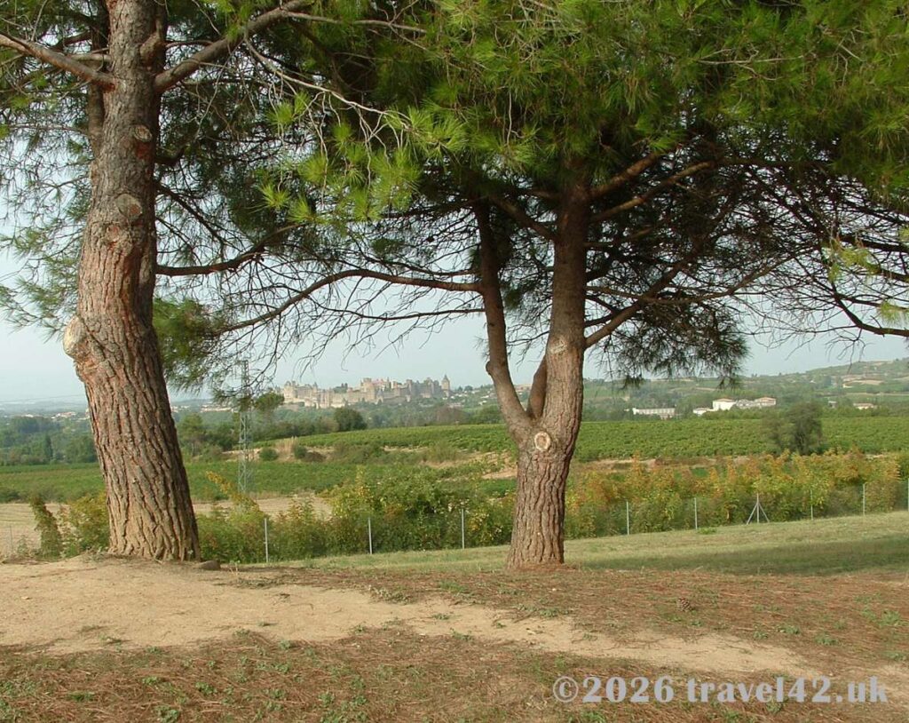 A distant view of the medieval walled city of Carcassonne