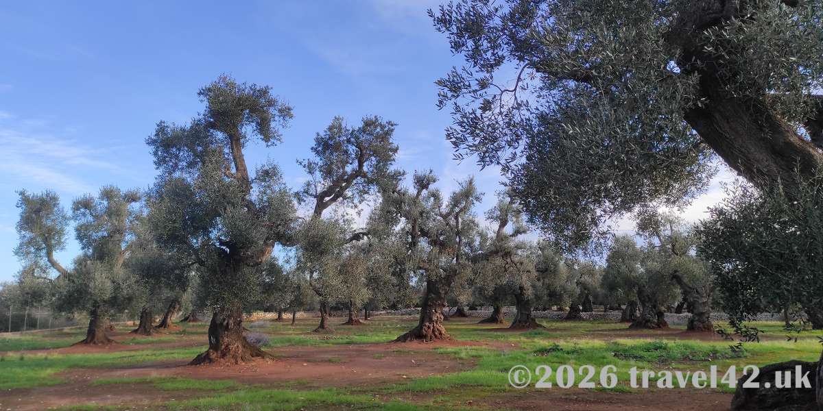 Puglia in Winter: Valle d’Itria to Bari (Part Two)