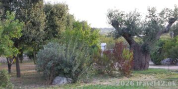 A quiet corner of the Puglian countryside near Alberobello