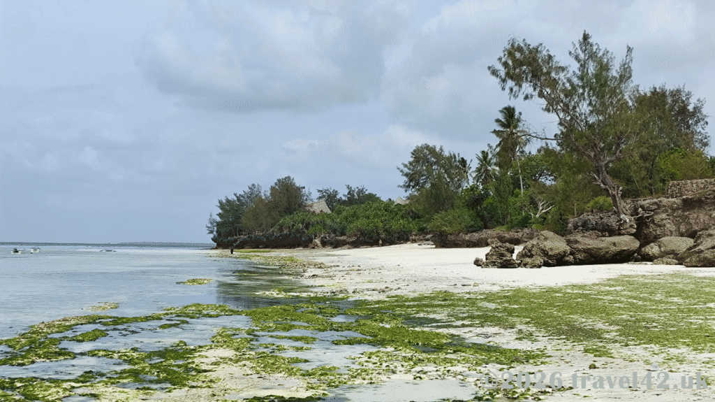 Kizimkazi Mkunguni beach