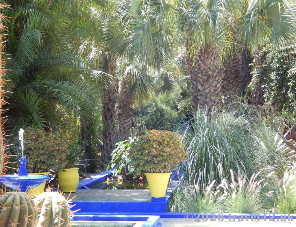 Jardin Majorelle in Marrakech