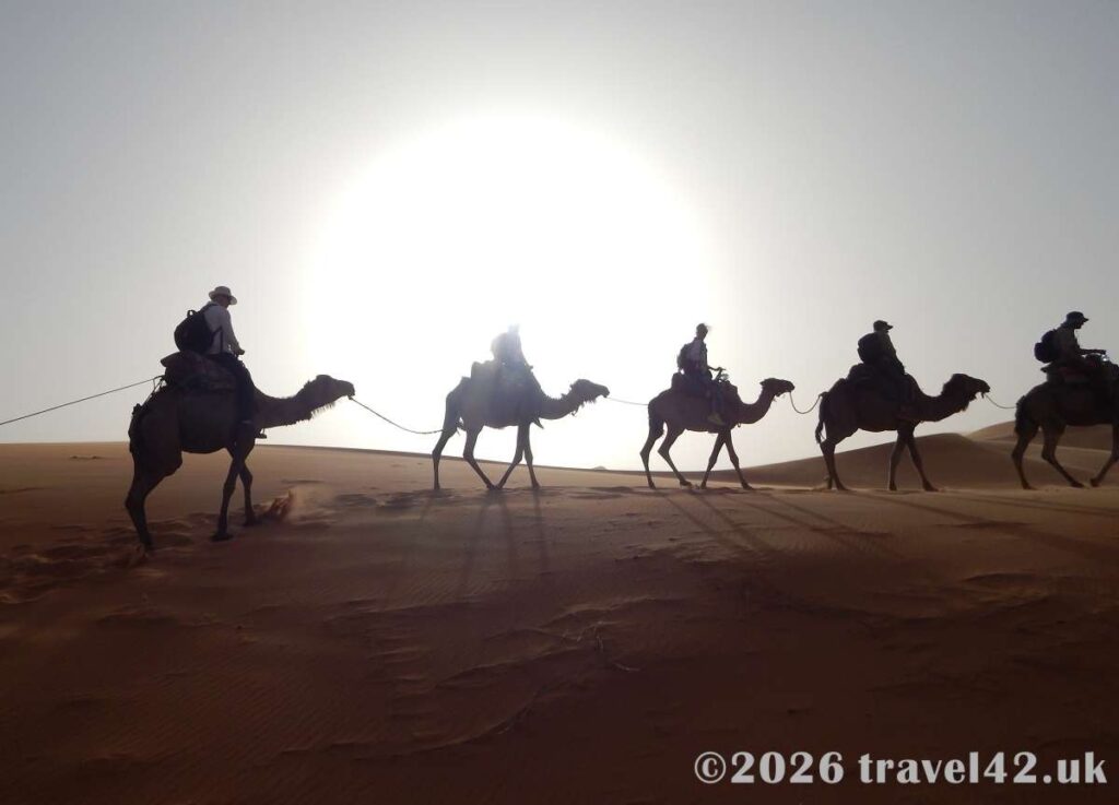 Sunset in Sahara desert