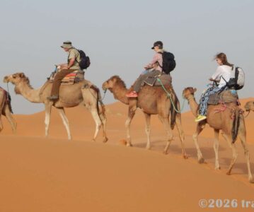 Safari to the Sahara: Our Three-Day Desert Tour from Marrakesh