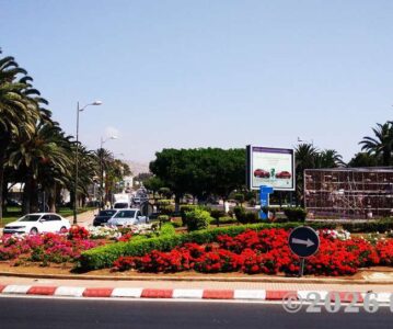 Our 12-Day Morocco Road Trip: From Agadir to the Anti-Atlas Mountains