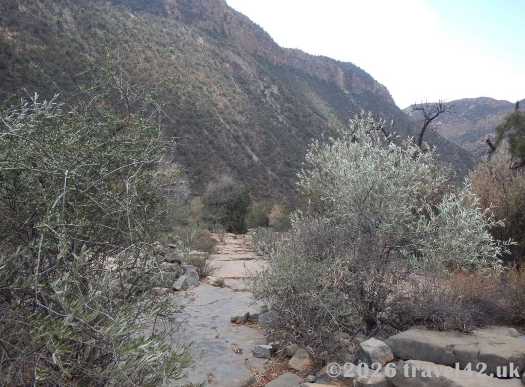 Walking in Paradise Valley