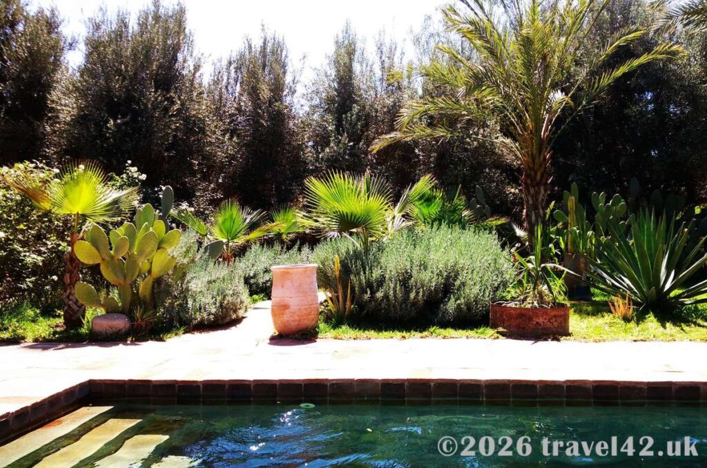Pool area of the hotel