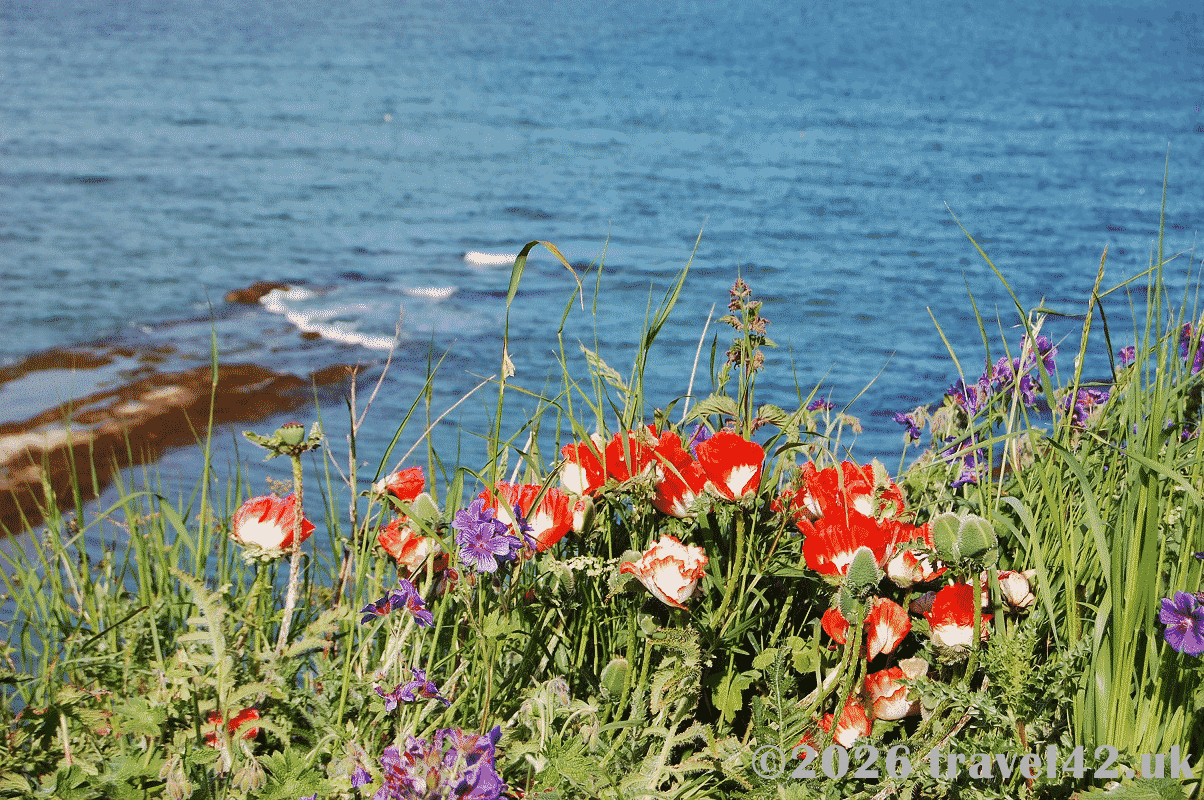 Scotland Road Trip for Couples: From the West Coast to the Highlands and East Coast