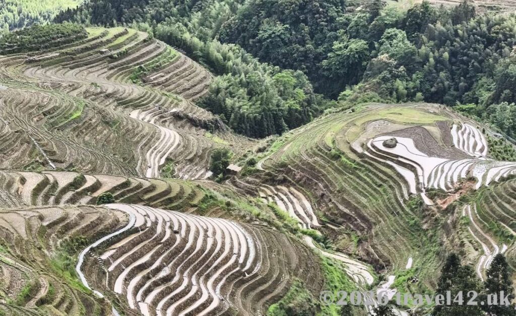Longji Rice Terraces
