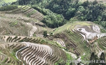 Longji Rice Terraces